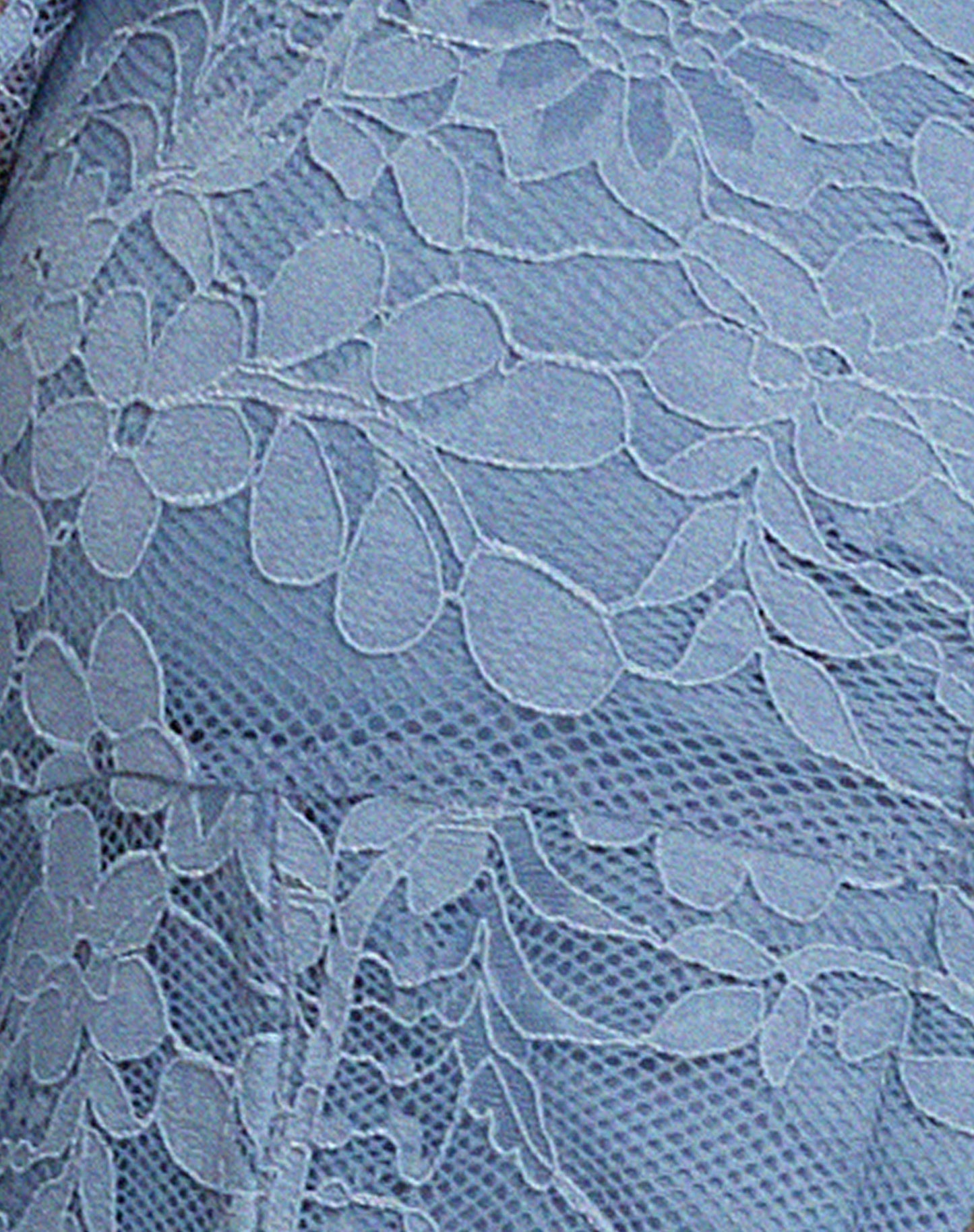 Khafila Long Sleeve Corset Top in Lace Blue