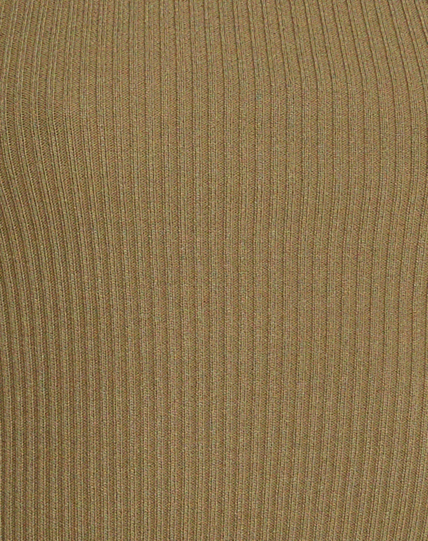Lanica Top in Olive