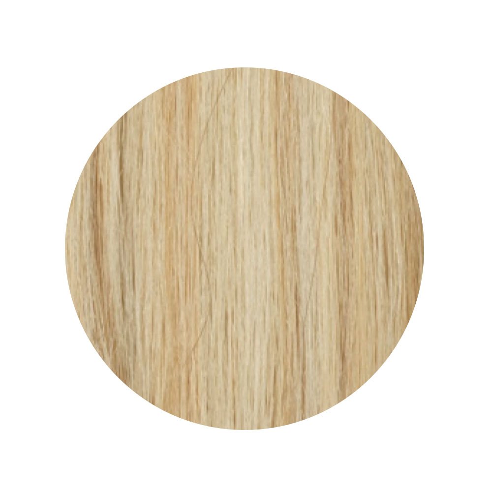 Amazing Hair Synthetic Ponytail 613/10T Blonde/Caramel 20"
