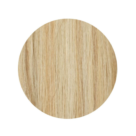 Amazing Hair Synthetic Ponytail 613/10T Blonde/Caramel 20"